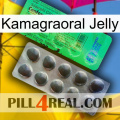 Kamagraoral Jelly new04